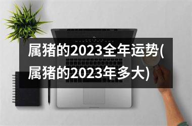 属猪的2025全年运势(属猪的2025年多大)