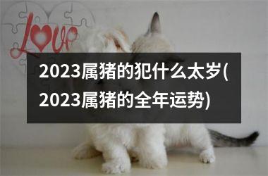 2025属猪的犯什么太岁(2025属猪的全年运势)