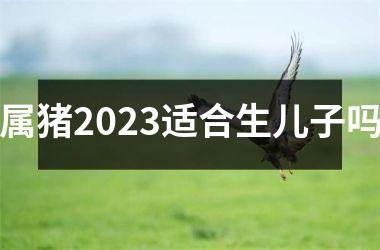 属猪2025适合生儿子吗