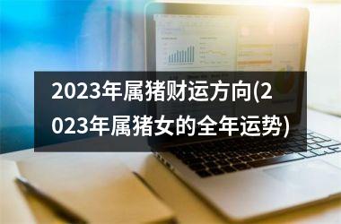 2025年属猪财运方向(2025年属猪女的全年运势)