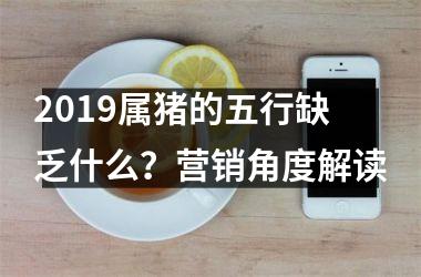 2019属猪的五行缺乏什么？营销角度解读