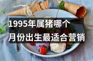 <h3>1995年属猪哪个月份出生适合营销