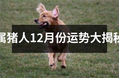 属猪人12月份运势大揭秘