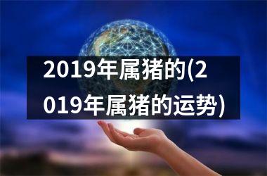 2019年属猪的(2019年属猪的运势)