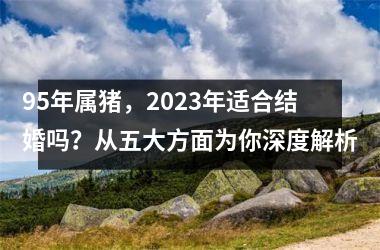 95年属猪，2025年适合结婚吗？从五大方面为你深度解析