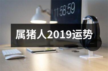 属猪人2019运势