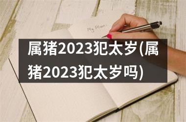 属猪2025犯太岁(属猪2025犯太岁吗)