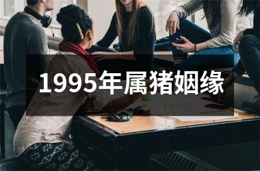 1995年属猪姻缘