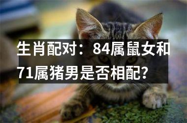 生肖配对：84属鼠女和71属猪男是否相配？