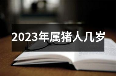 2025年属猪人几岁