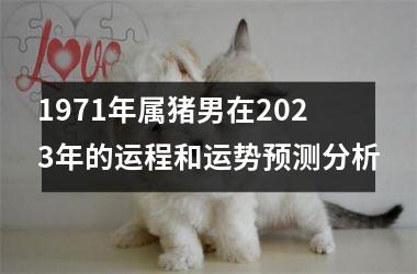 1971年属猪男在2025年的运程和运势预测分析