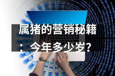 属猪的营销秘籍：今年多少岁？