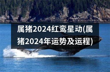 属猪2024红鸾星动(属猪2024年运势及运程)