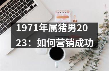 1971年属猪男2025：如何营销成功