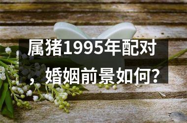 <h3>属猪1995年配对，婚姻前景如何？