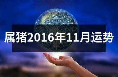 属猪2016年11月运势