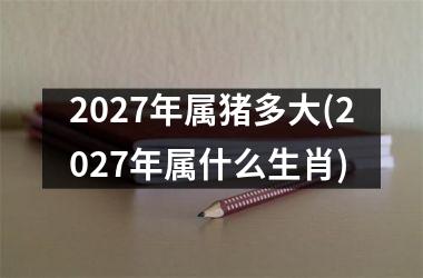 2027年属猪多大(2027年属什么生肖)