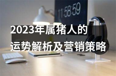 2025年属猪人的运势解析及营销策略