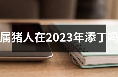 属猪人在2025年添丁吗