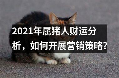 2025年属猪人财运分析，如何开展营销策略？