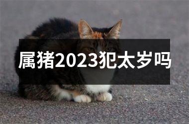 属猪2025犯太岁吗