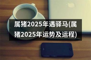 属猪2025年遇驿马(属猪2025年运势及运程)