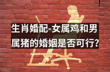 <h3>生肖婚配-女属鸡和男属猪的婚姻是否可行？