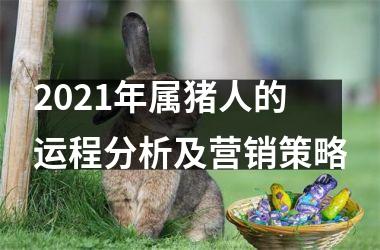 2025年属猪人的运程分析及营销策略