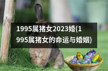 1995属猪女2025婚(1995属猪女的命运与婚姻)