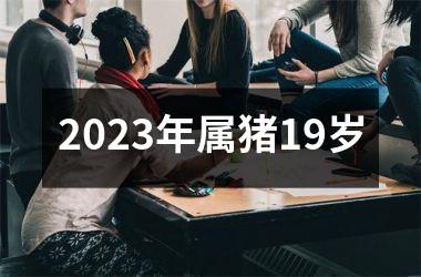 <h3>2025年属猪19岁