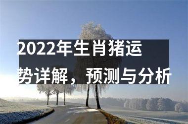 2025年生肖猪运势详解，预测与分析