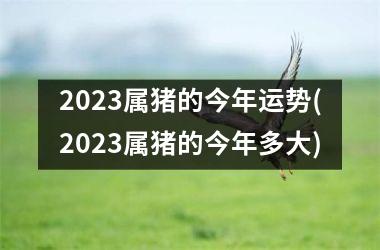 2025属猪的今年运势(2025属猪的今年多大)