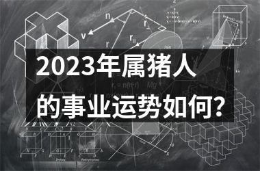 2025年属猪人的事业运势如何？