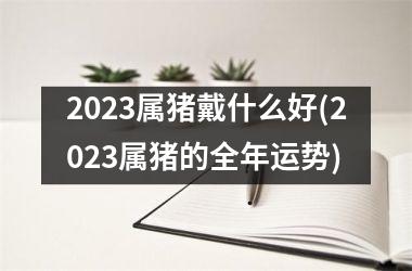 2025属猪戴什么好(2025属猪的全年运势)