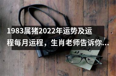 1983属猪2025年运势及运程每月运程，生肖老师告诉你如何顺利度过