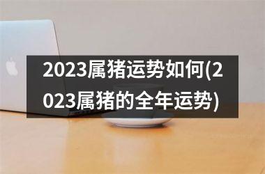 <h3>2025属猪运势如何(2025属猪的全年运势)