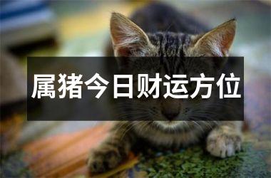 属猪今日财运方位