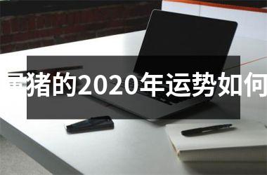 属猪的2025年运势如何