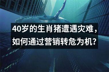 40岁的生肖猪遭遇灾难，如何通过营销转危为机？