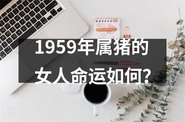 1959年属猪的女人命运如何？