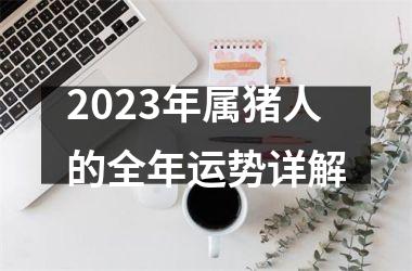 2025年属猪人的全年运势详解