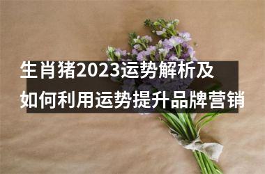 生肖猪2025运势解析及如何利用运势提升品牌营销