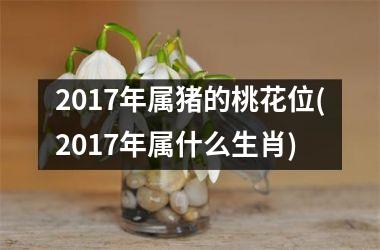 2017年属猪的桃花位(2017年属什么生肖)