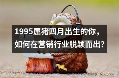 1995属猪四月出生的你，如何在营销行业脱颖而出？