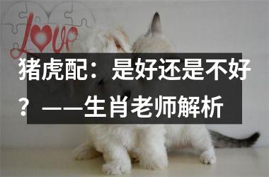 <h3>猪虎配：是好还是不好？——生肖老师解析