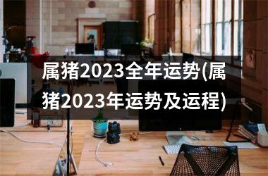 属猪2025全年运势(属猪2025年运势及运程)