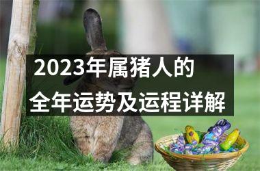  2025年属猪人的全年运势及运程详解