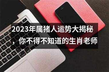 2025年属猪人运势大揭秘，你不得不知道的生肖老师