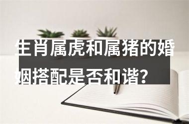 生肖属虎和属猪的婚姻搭配是否和谐？