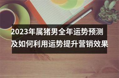 <h3>2025年属猪男全年运势预测及如何利用运势提升营销效果